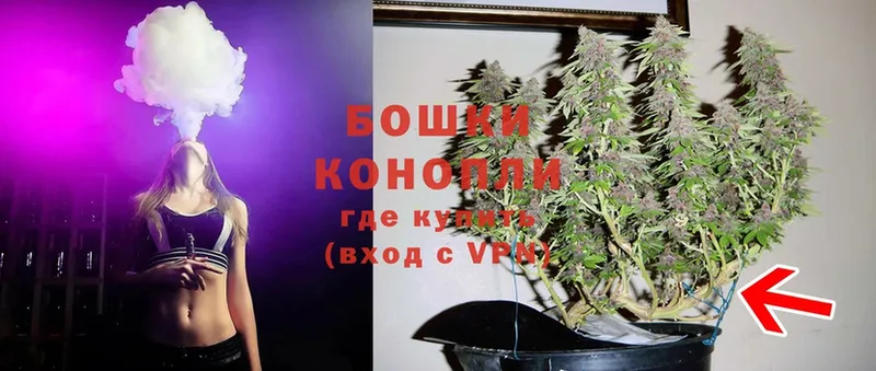 Канабис Ganja  где найти наркотики  Андреаполь 